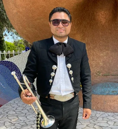 Mariachi en Dolores Hgo | Cantante solista ranchero | Mariachis