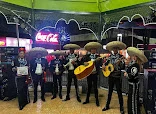 Mariachi Juvenil Los Potrillos
