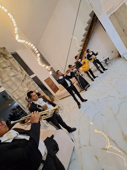 Vero la Golondrina Cantante y Sonido para Eventos